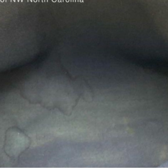 VTG. GUCCI XL BLUE MONOGRAM TOTE - Picture 5 of 5